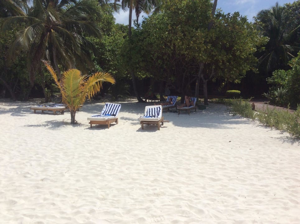 Ruheoase Adaaran Select Meedhupparu Island Resort - Premium All Inclusive