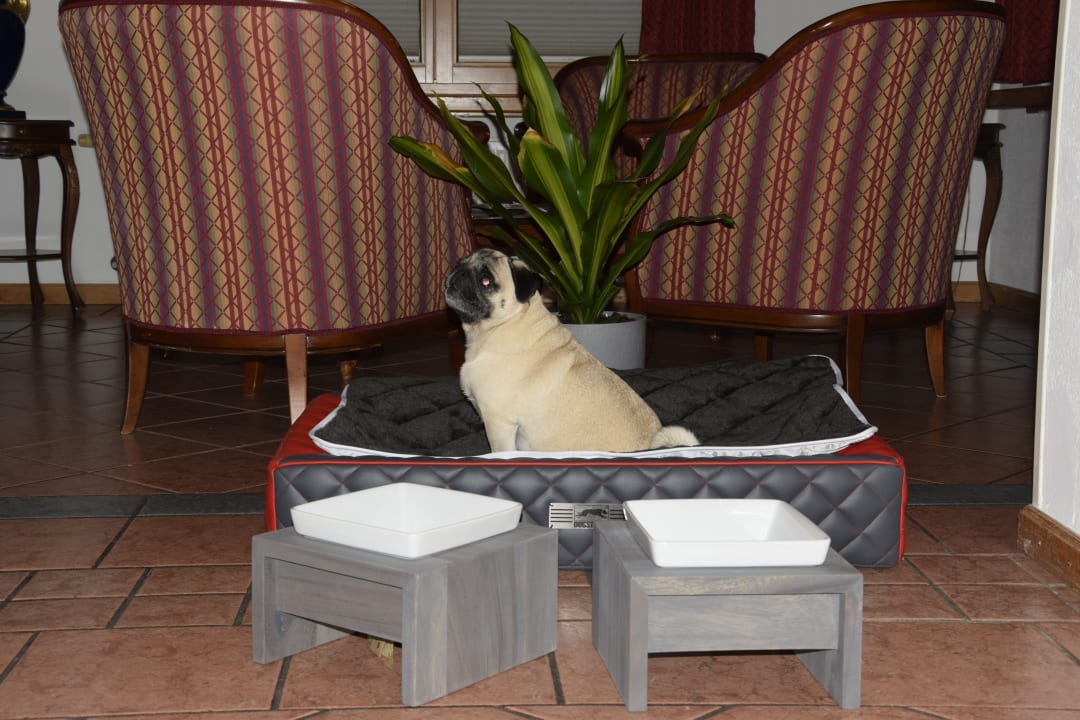 Lobby Guesthouse Dalnig