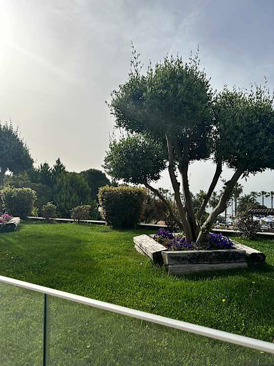 Gartenanlage Voyage Sorgun
