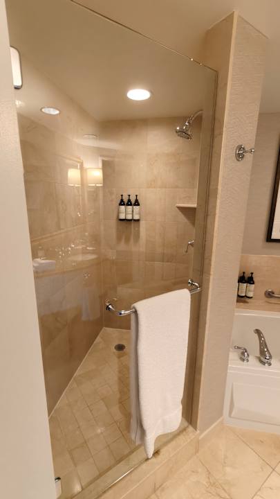 Zimmer Fairmont Vancouver Airport