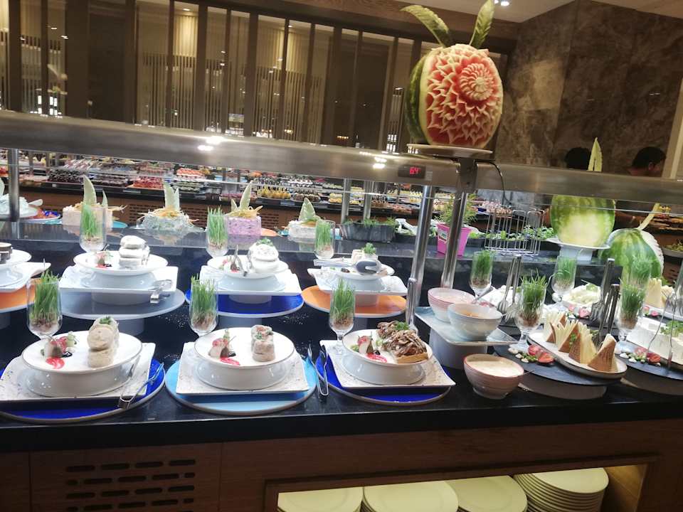 Gastro Seashell Vega