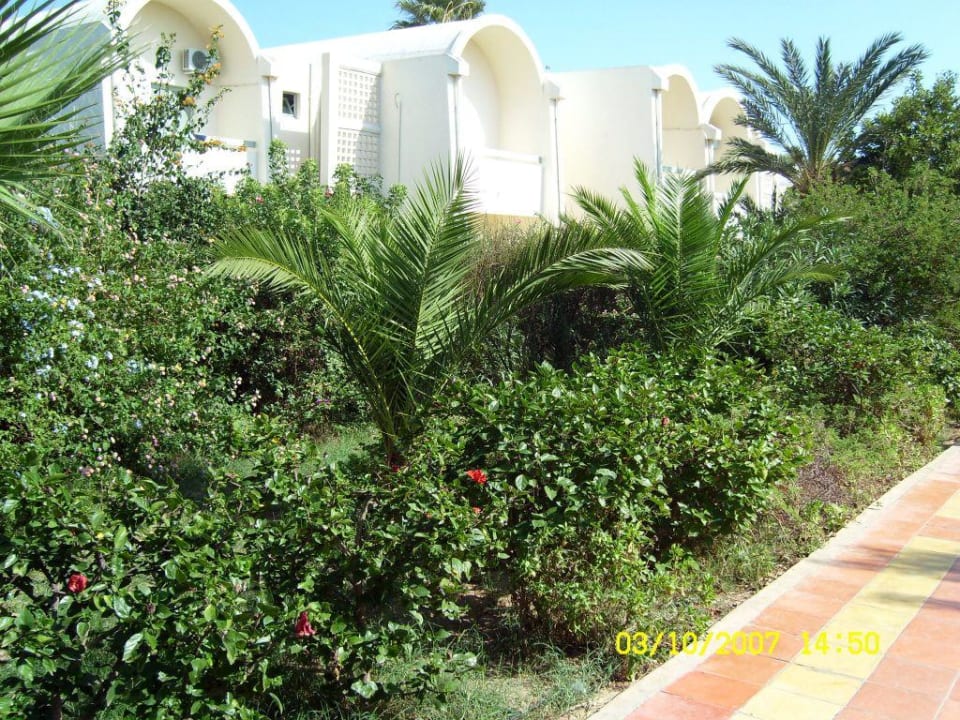 Bungalow Dar Khayam