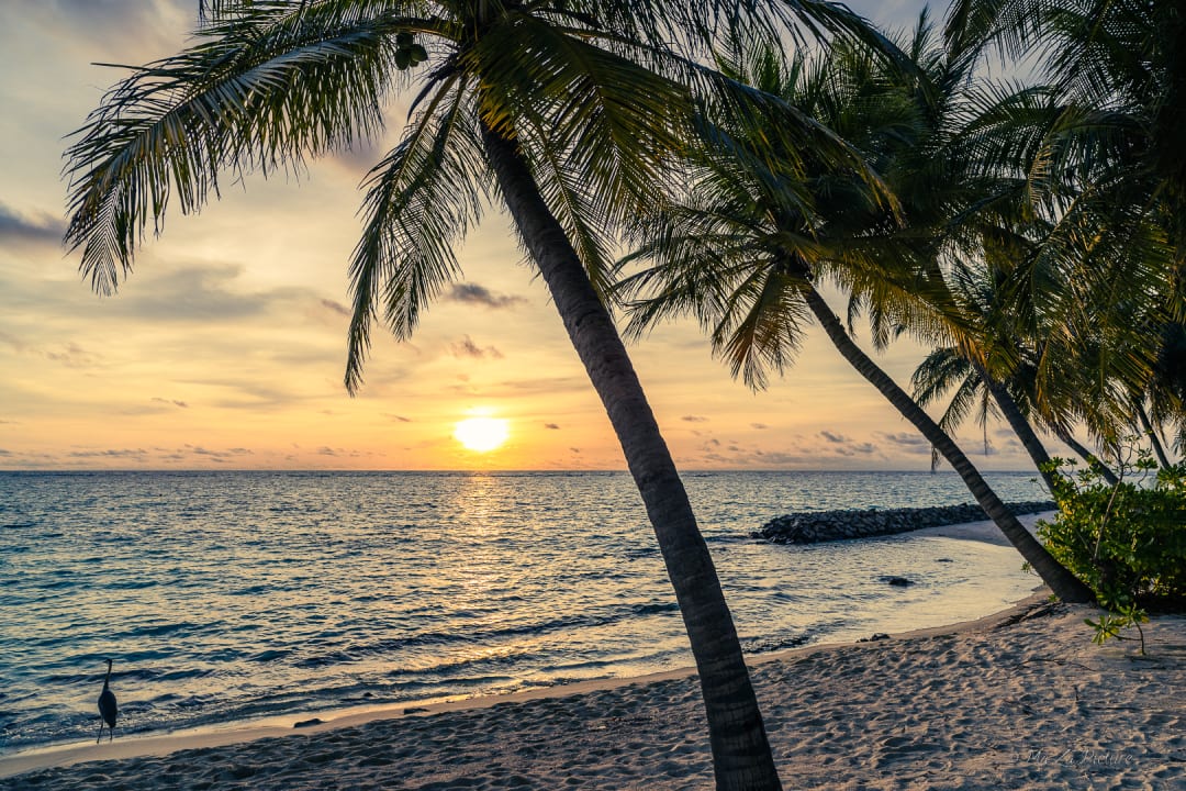 Strand Summer Island Maldives