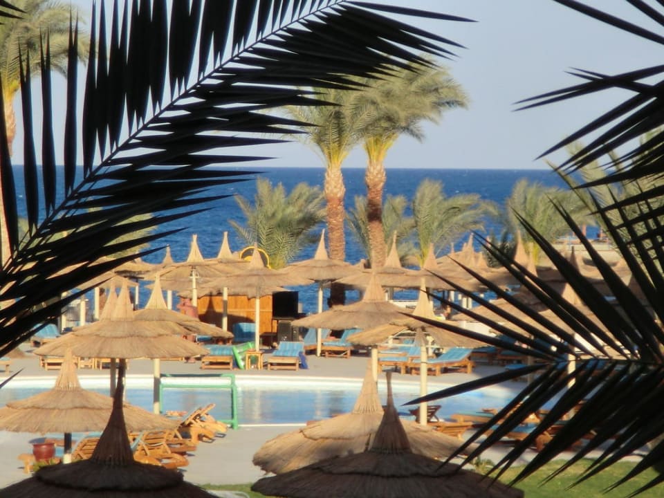 Ausblick vom Balkon Beach Albatros Resort