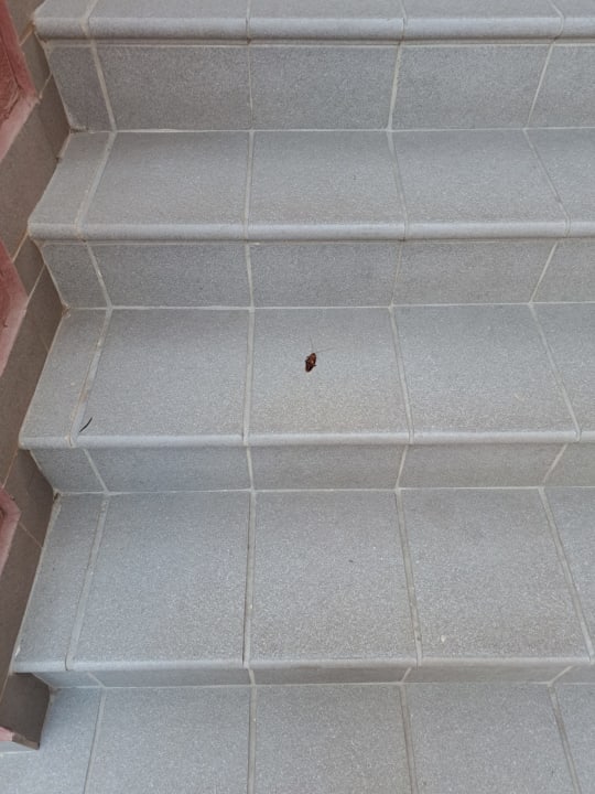 Sonstiges Apartamentos Cordial Mogán Valle