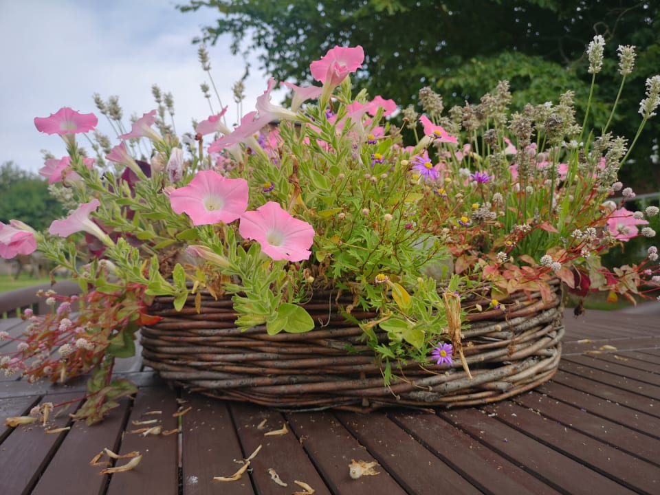 Sonstiges Ferienhäuser Bauernhof Haltermann Landurlaub mit Stil