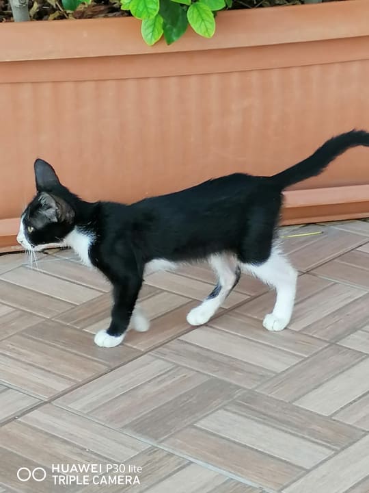 Sonstiges VONRESORT Golden Beach