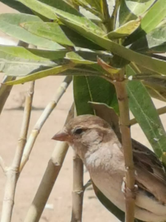 Strand Side Aquamarin Resort & Spa