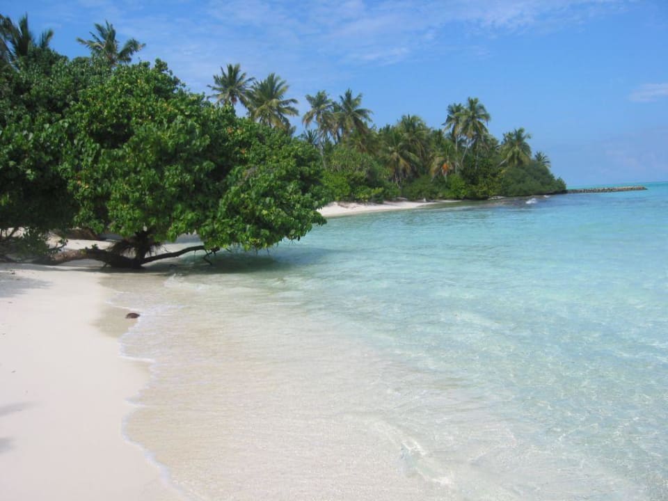 Traumstrand Kuramathi Maldives