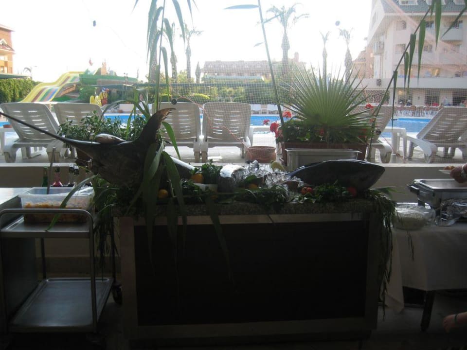 Themenabend: Fisch Side Breeze Hotel