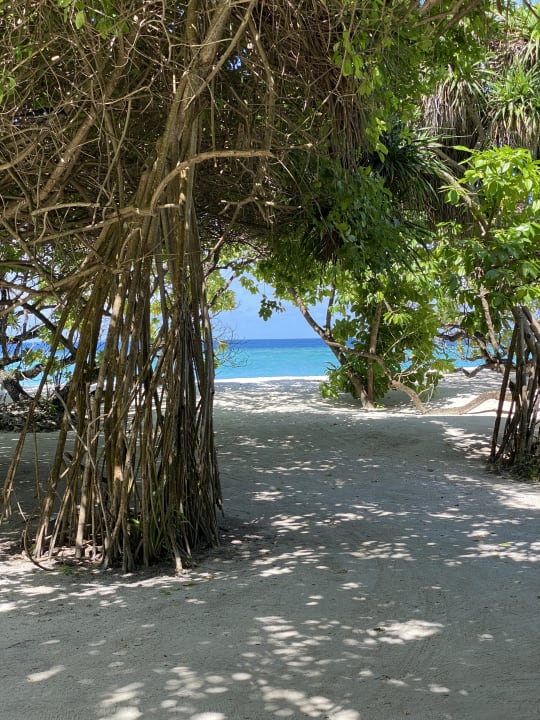 Gartenanlage Adaaran Select Meedhupparu Island Resort - Premium All Inclusive