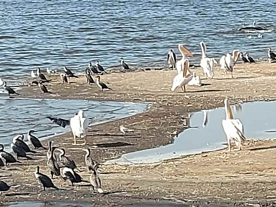 Sport & Freizeit Hotel Lake Nakuru Lodge