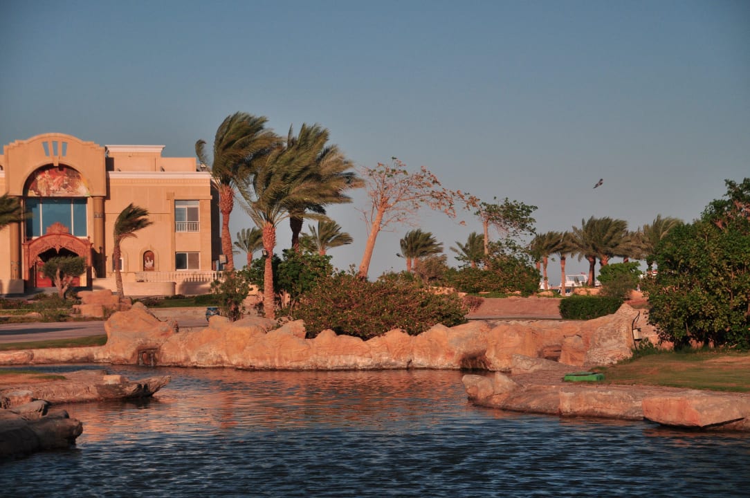 Hier wohnt noch der Boss selbst Palm Royale Resort - Soma Bay