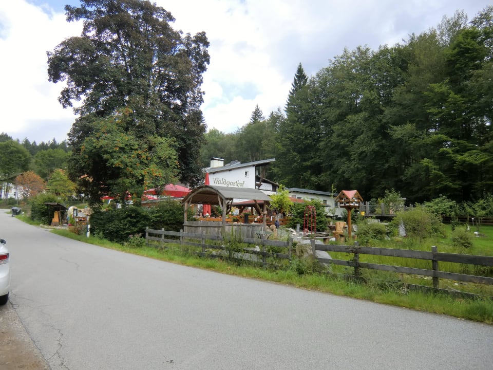 Anblick der Anlage von gegenüber Hotel Scharnagl mit Waldgasthof
