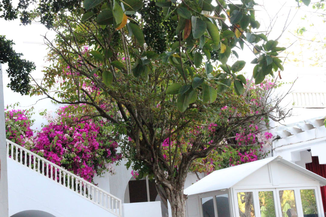 Von der Gartenterrasse aus The Orangers Beach Resort and Bungalows