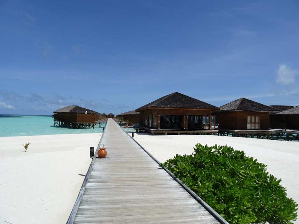 Außenansicht Vilamendhoo Island Resort & Spa