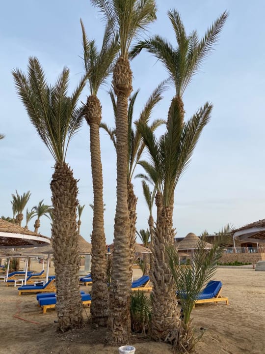 Strand Pickalbatros Villaggio Resort - Portofino