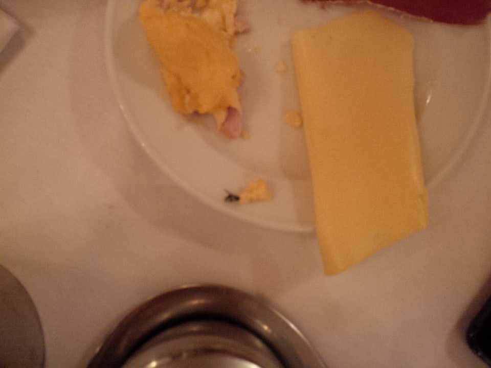 Fliege im Rührei Central Hotel