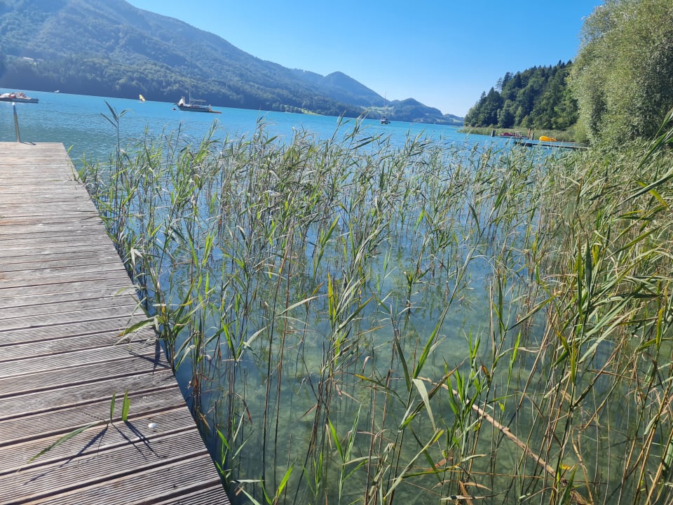 Strand Waldhof Fuschlsee Resort