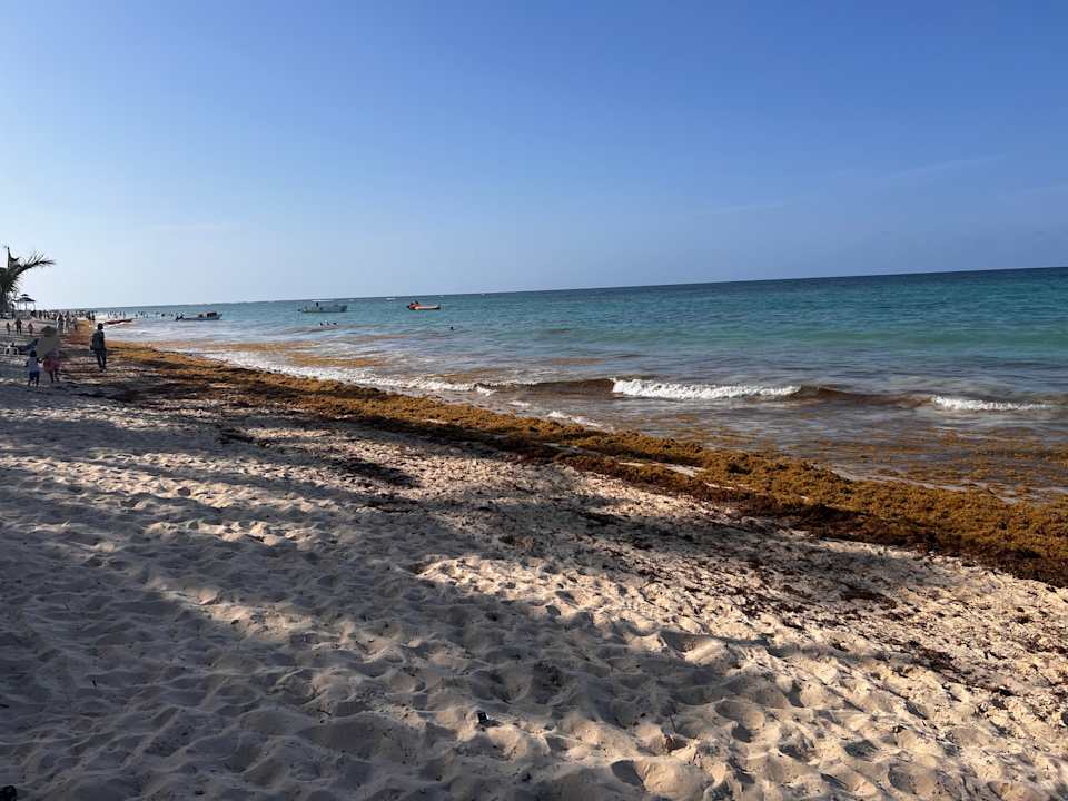 Strand Hotel Riu Palace Punta Cana