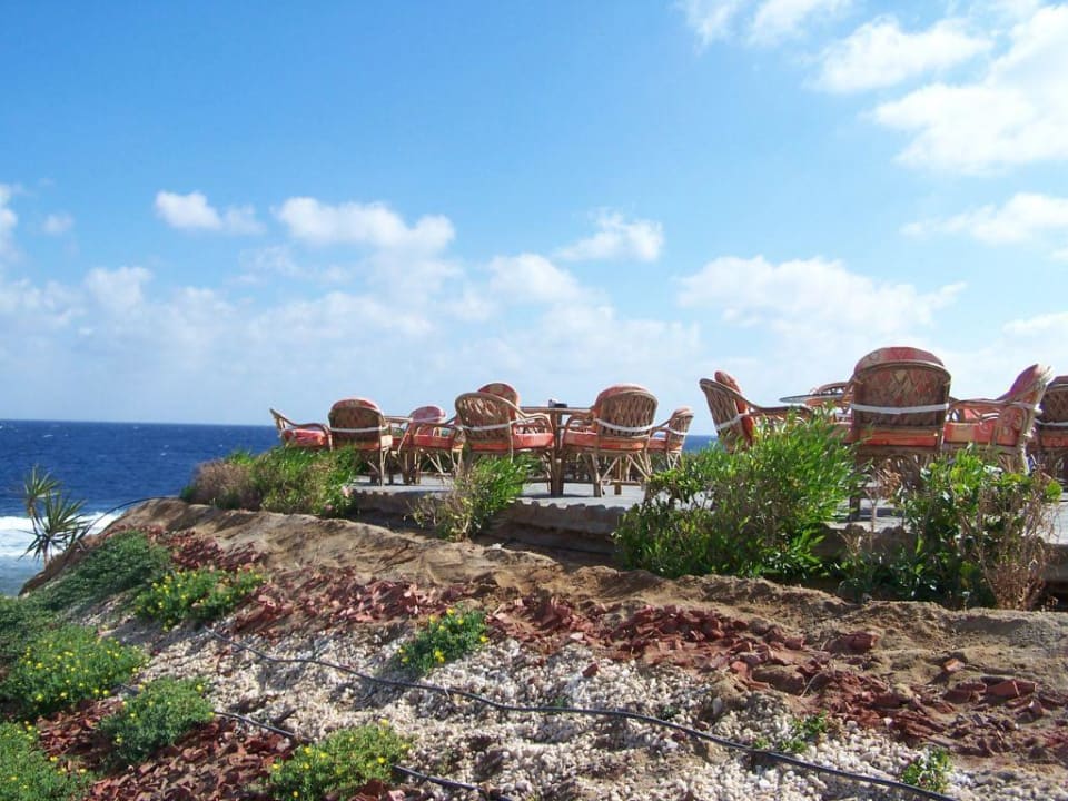 Seaview-Bar - einfach nur traumhaft Sentido Akassia Beach