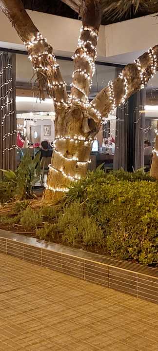 Außenansicht Hotel Riu Festival