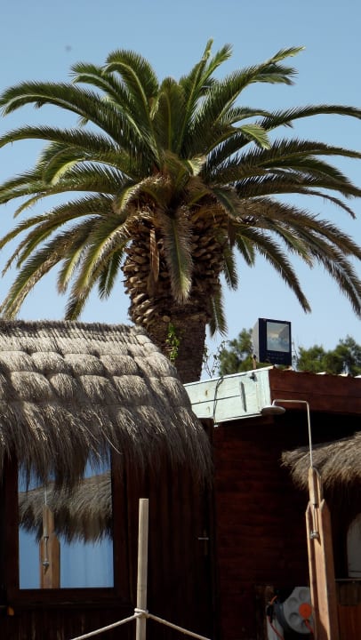 Vom Strand aus gesehen El Mouradi Club Kantaoui