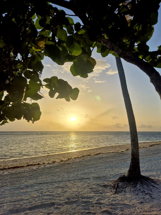 Strand Serenade Punta Cana Beach & Spa resort