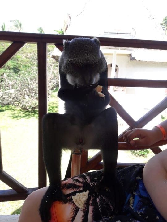 Zimmer Neptune Village Beach Resort & Spa