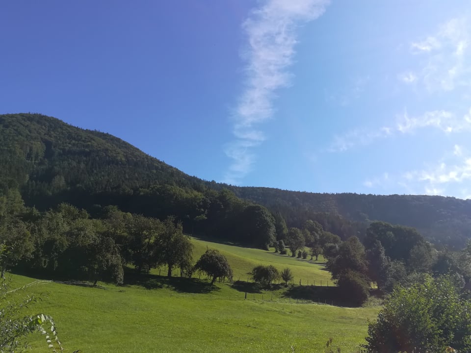 Ausblick OptimaMed Gesundheitsresort Salzerbad