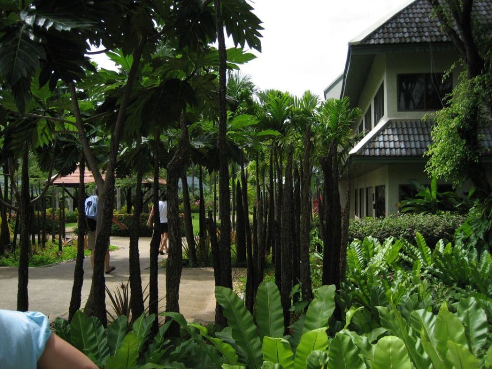 Hotelanlage, Weg zum Strand Mövenpick Resort & Spa Karon Beach Phuket
