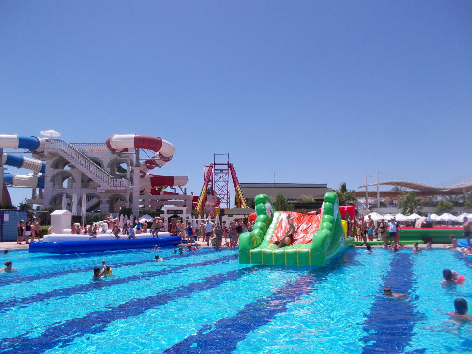 Action am Pool Hotel Delphin Imperial