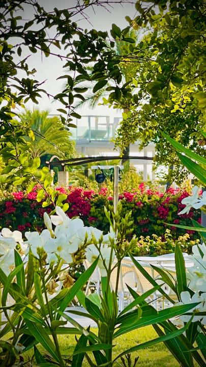 Gartenanlage Playa Garden Selection Hotel & Spa