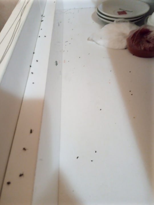 Zimmer Side Tuana Garden Home