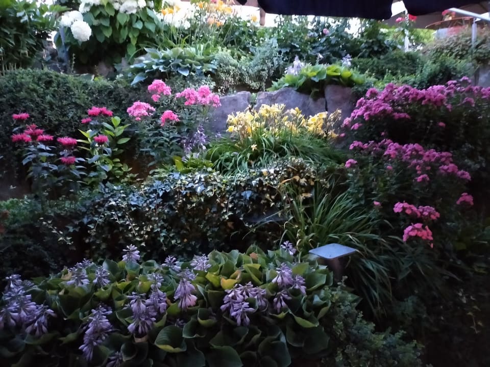 Gartenanlage Gästezimmer Weingut Karl Braun