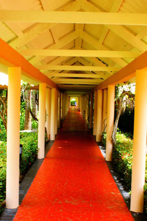 Droga na plażę Grand Palladium Select Bávaro Resort & Spa