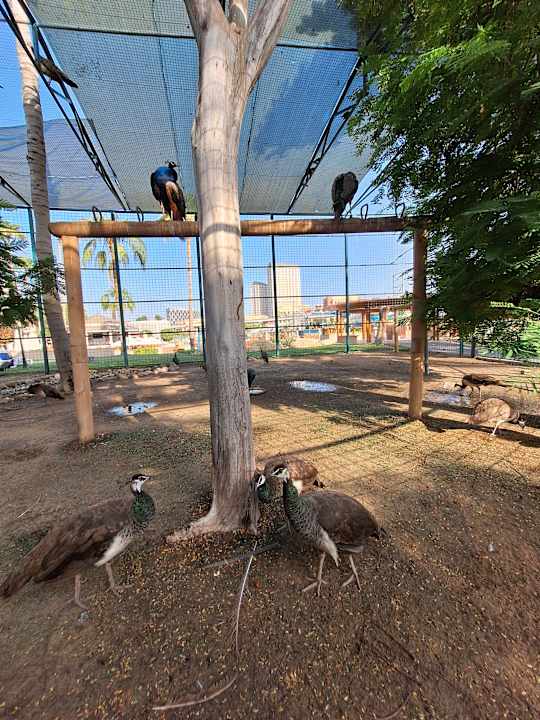 Gartenanlage Grand Hyatt Dubai