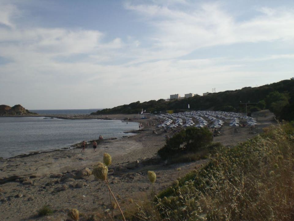 Blick auf den Hotelstrand Rodos Princess Beach Hotel & Spa