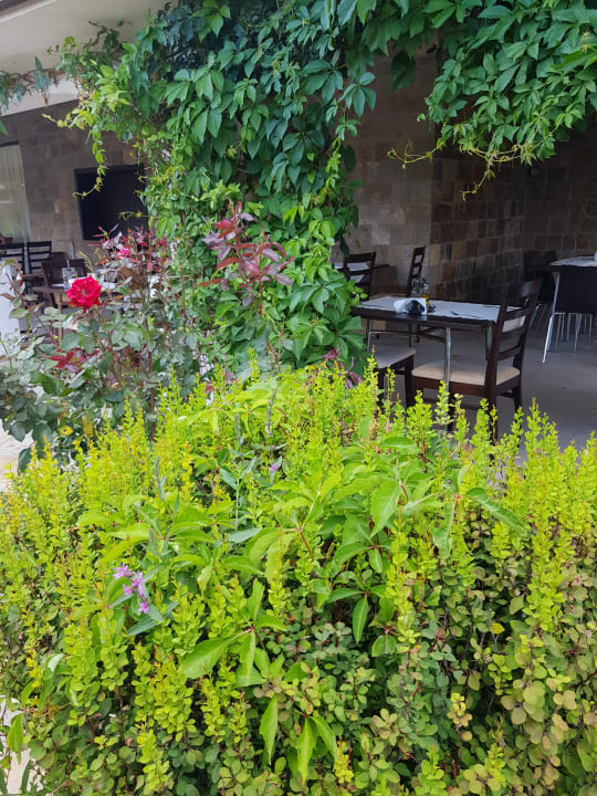 Gastro Hotel Cazablanka / Casablanca