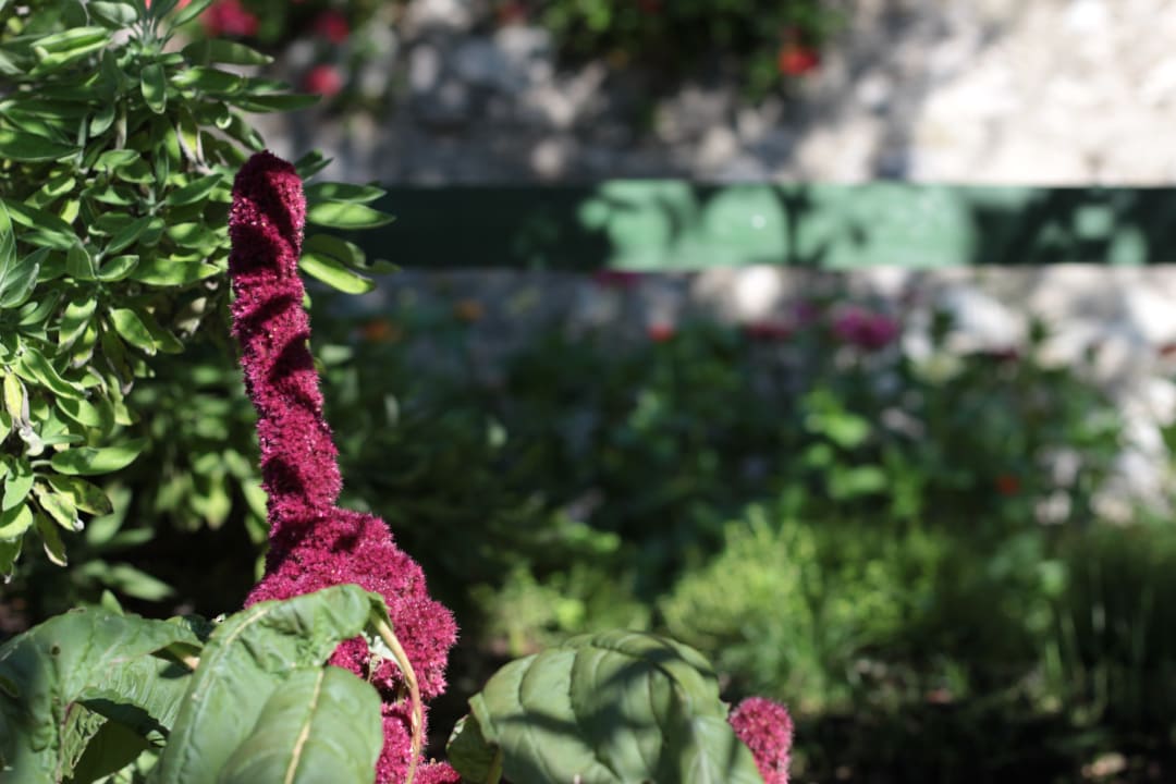 Gartenanlage Relax Hotel Villa La Gardenia & Oleandra