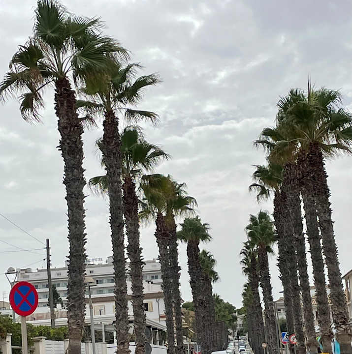 Sonstiges Grupotel Farrutx