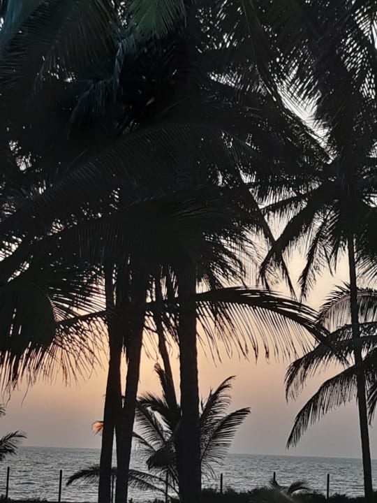 Ausblick The Kairaba Beach Hotel