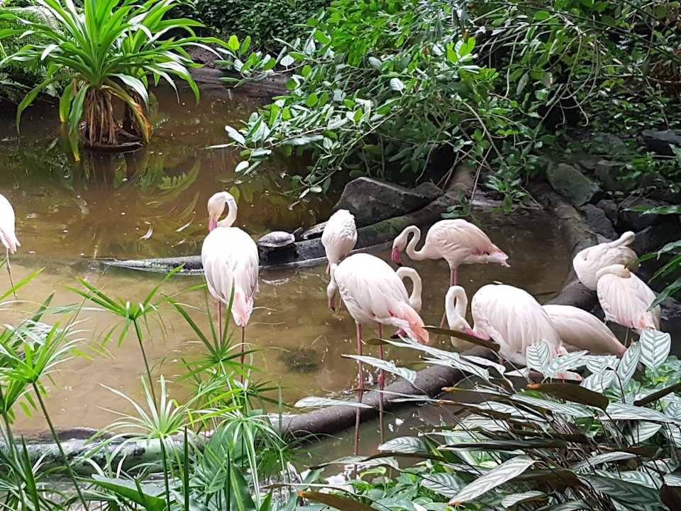 Sonstiges Tropical Islands Resort