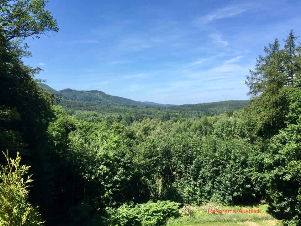 Ausblick Villa Warzenburg