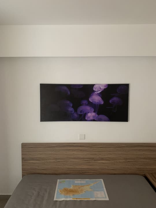 Zimmer Aqua Sol Water Park Resort