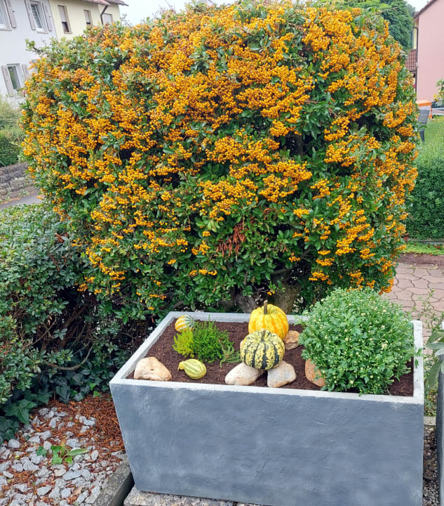 Gartenanlage Ferienwohnung "Auszeit"