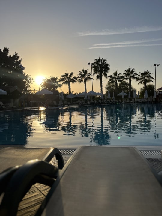 Pool Alba Resort Hotel