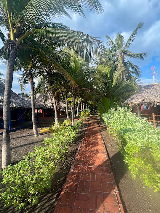 Gartenanlage Hotel Pez de Oro