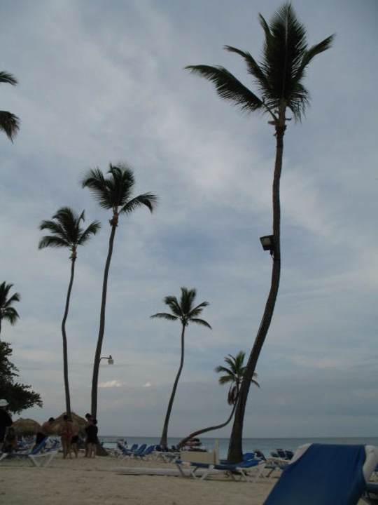 Strand Vik Hotel Arena Blanca & Cayena Beach