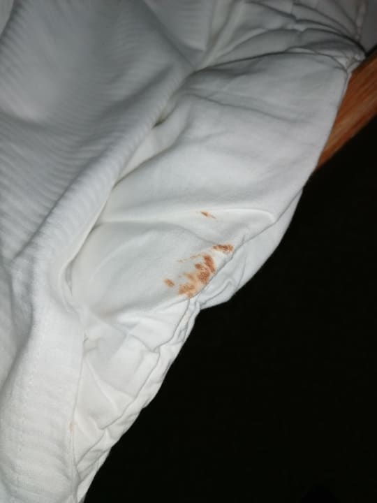 Zimmer SAVOY Hotel Bad Mergentheim